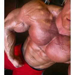 pnobear:  big-strong-tough:  Dallas McCarver