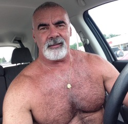 planesdrifter:  Follow planesdrifter: trueTHAT if you’re an admirer of older, hairy natural and muscular men. Check it out and the archive too.