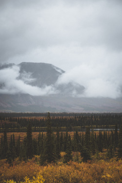 christopher-mongeau:Autumn in Alaska.