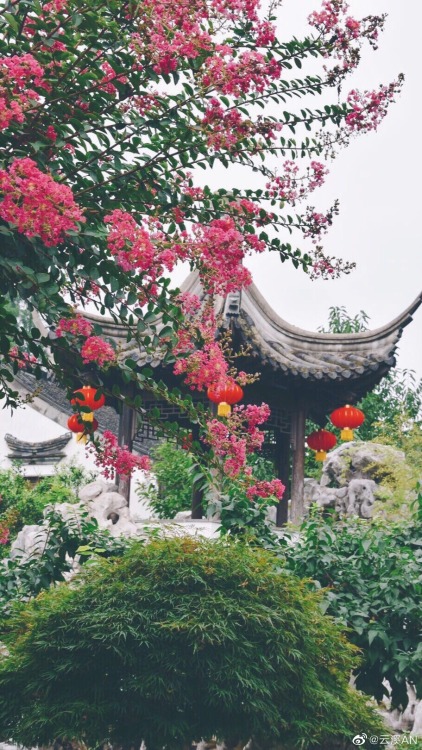 fuckyeahchinesegarden:愚园yuyuan, nanjing, jiangsu province by 云溪AN