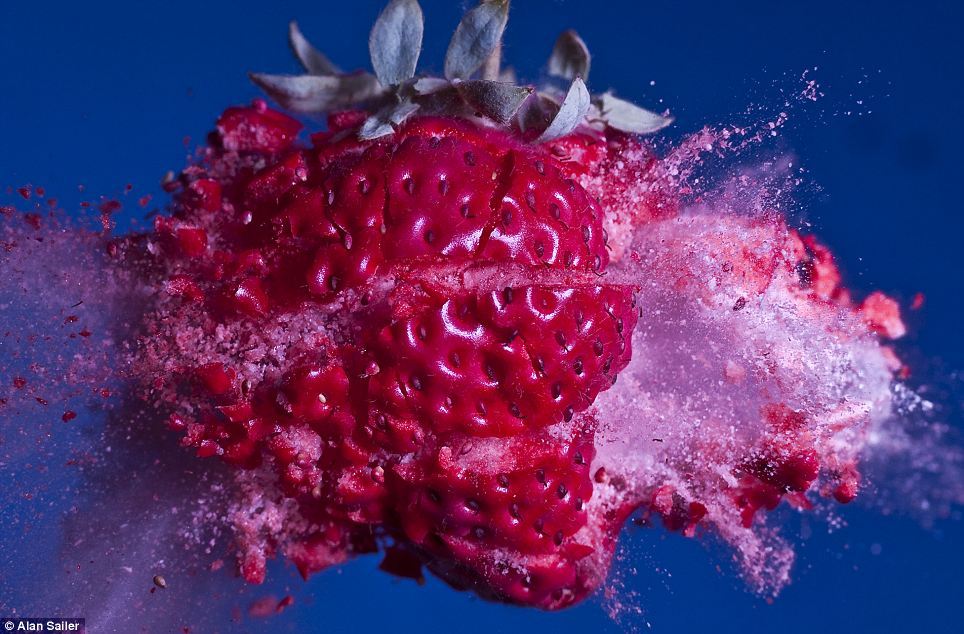 sixpenceee:  Frozen in TimeThis strawberry was dipped in liquid nitrogen before it