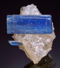 bijoux-et-mineraux:  Kyanite with Quartz