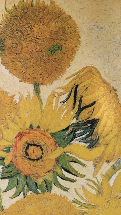 inkstainedleaves: Sunflowers - London version (details)