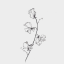 lilacsweetpeas