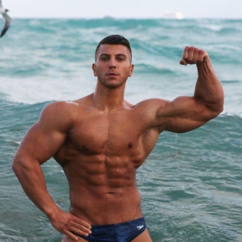 yortamn:  Joe Wachs (10)