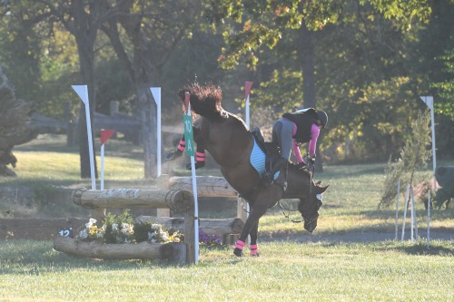 If Monday were an xc jump