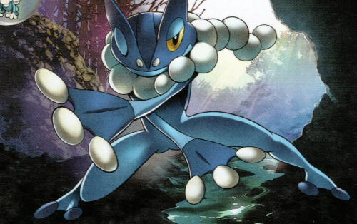 Frogadier – Shin Nagasawa