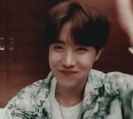 ᵗᶦⁿʸ Hobi