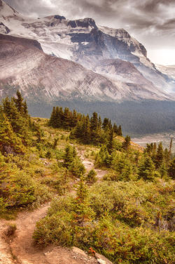theencompassingworld:  travelgurus:         Trail in the Highlands of Canada Rockies by Anton T.              Travel Gurus - Follow for more Nature Photographies!    The World Around Us