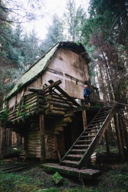 benngie: Abandoned homestead deep within the Haida Gwaii forest. 