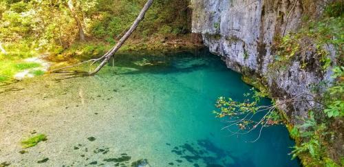 oneshotolive:  Beautiful spring at the Lake of the Ozarks [1280 x 622] [OC] 📷: Briantere 