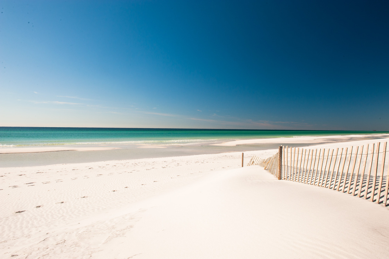 lovefloridauk:  Sharing a little sunshine to brighten your day. Wish you were here.