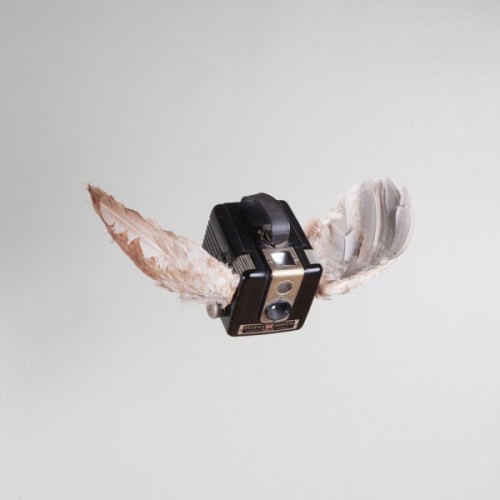 fer1972:  Birds of Aperture by Paul Octavious