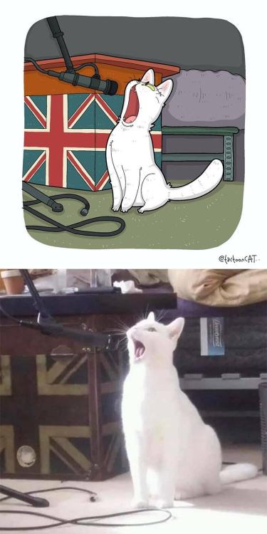 articulate-anxious-atheist:jaubaius:Tactoon-cat Cartoons With each I was like “Surely the cat doesn’t actually look like that in the image. surely this is an exaggeration.” but then I scrolled and yes, the cats are liquid