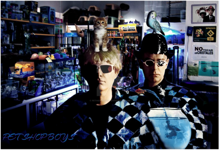 PET SHOP BOYS - HOMENAJE - Tumblr Pics