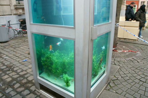 ex0skeletal: (via Benedetto Bufalino and Benoit Deseille Repurpose Phone Booths for Aquariums | Hi-F
