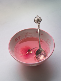 yuikki:  Homemade sakura jelly by Helen Silivren