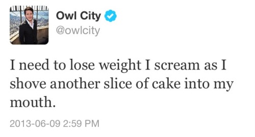 perksofbeingagoat:  leaxluke:  So I saw more flawless tweets that I can relate to by Mr Adam Young aka owl city   Can we talk about Adam young!