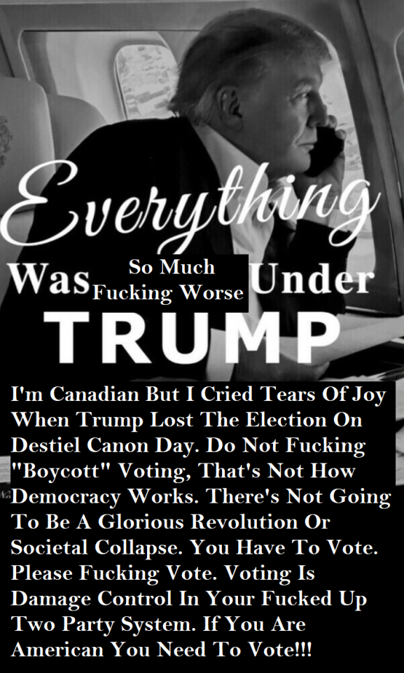 A right-wing meme featuring a picture of Donald Trump. The text meme has been edited with modified text, so it now reads, "Everything was so much fucking worse under Trump // I'm Canadian but I cried tears of joy when Trump lost the election on Destiel Canon Day. Do not fucking 'boycott' voting, that's not how democracy works. There's not going to be a glorious revolution or societal collapse. You have to vote. Please fucking vote. Voting is damage control in your fucked up two party system. If you are American you need to vote!!!"