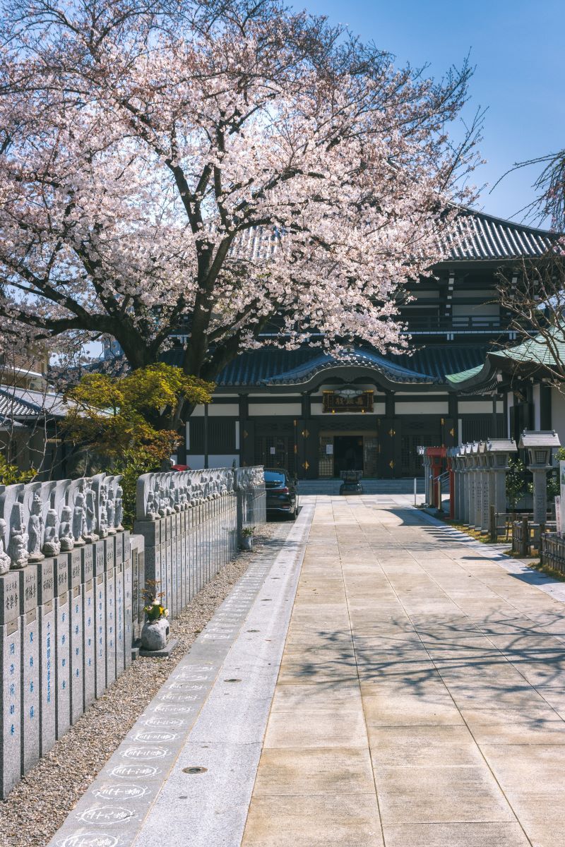 金剛先生 Explore Tumblr Posts And Blogs Tumgir 金剛先生 Explore Tumblr Posts And Blogs Tumgir