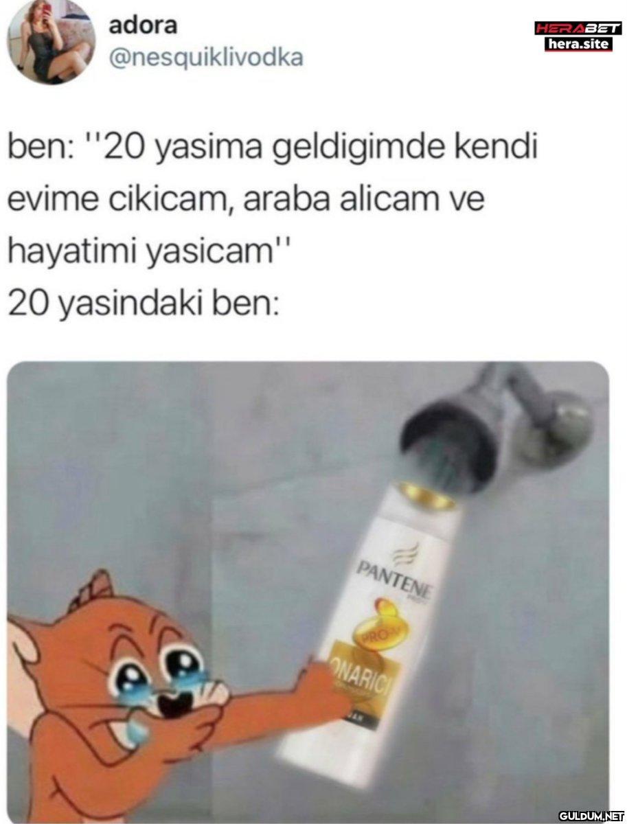 adora @nesquiklivodka ben:...