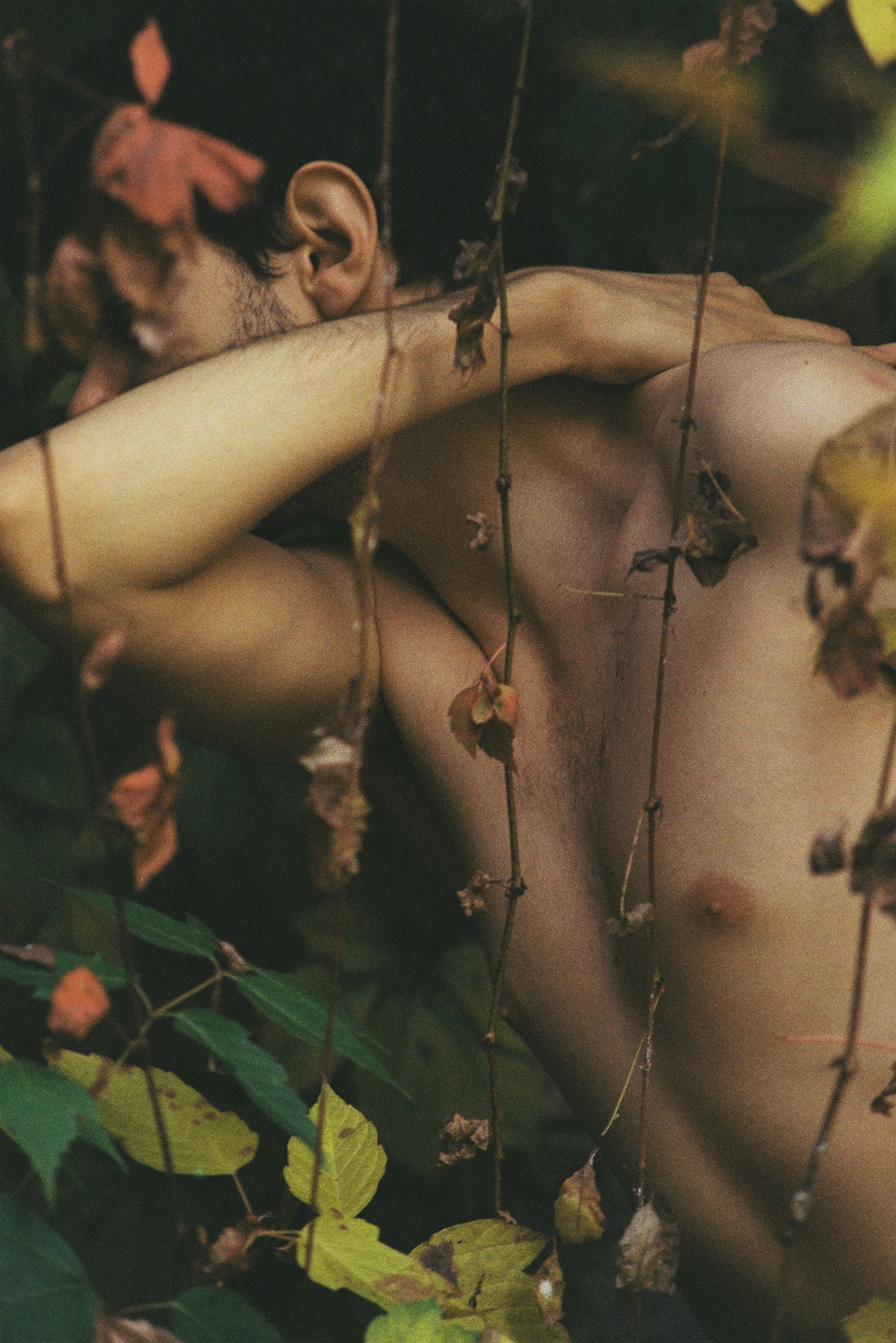 sean-clancy:  untitled by Staša Bukumirović on Flickr. 