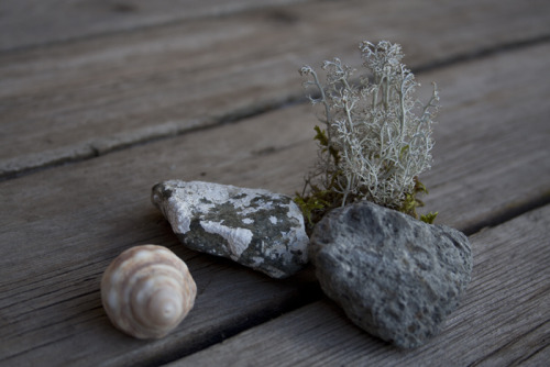 folksaga:  Treasures from nature. 