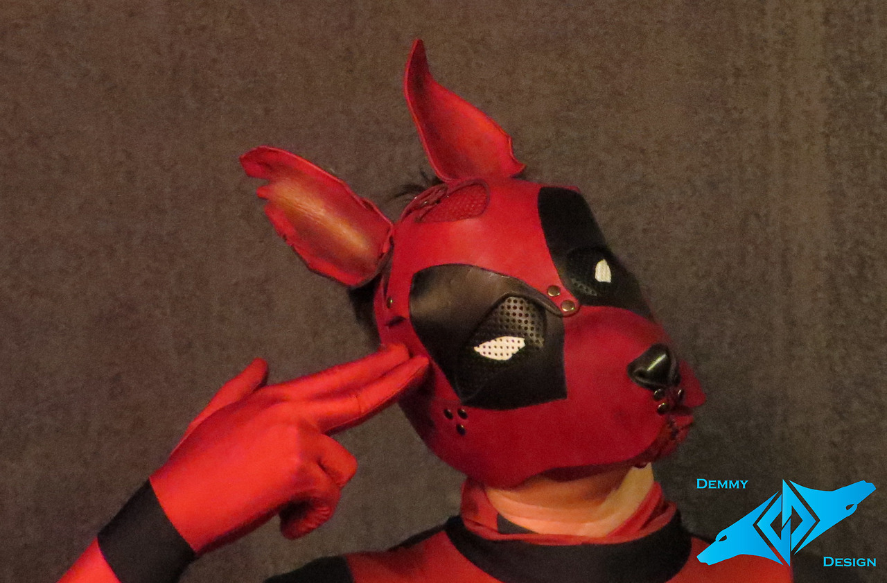 pup-demmy: Dogpool, whatcha gonna do about it?? &gt;.&gt; 
