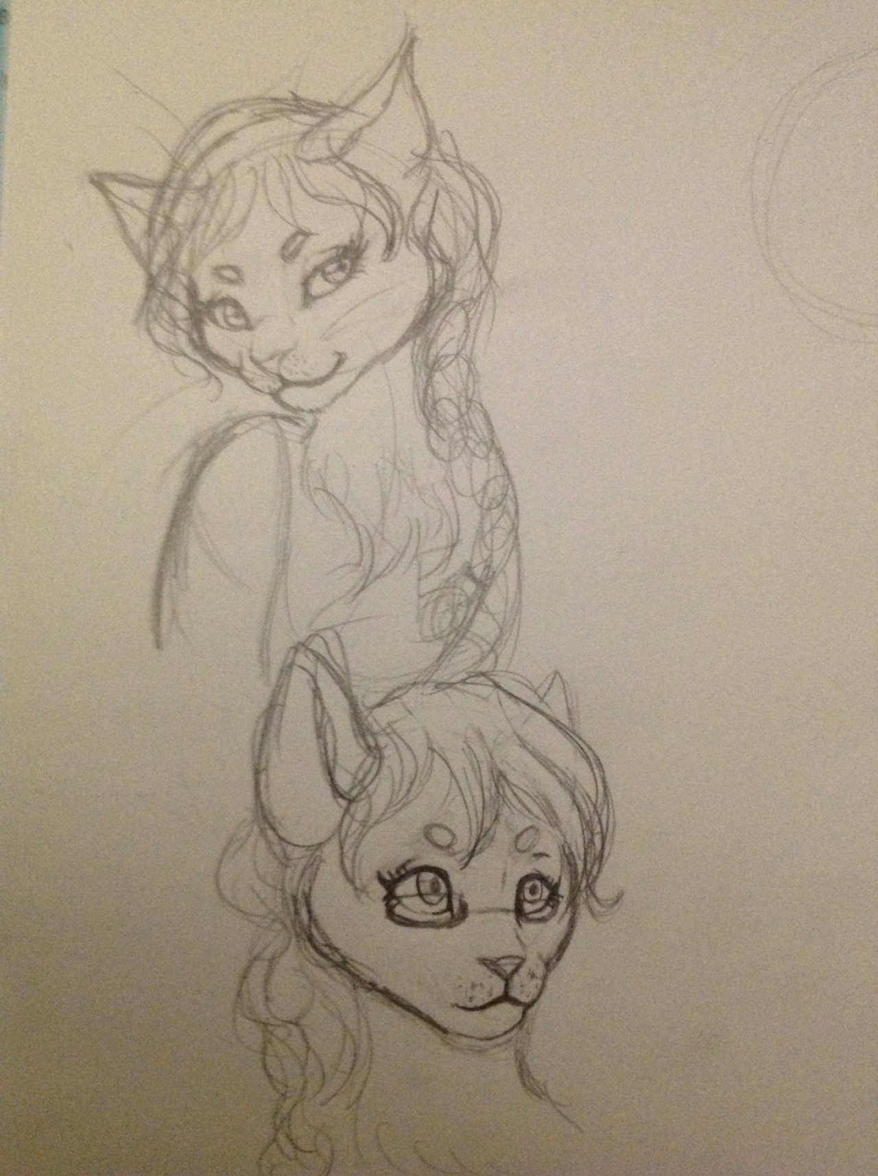  Hello Harumi! I doodled your super cute OC, Mimi the cat, last night! I apologize
