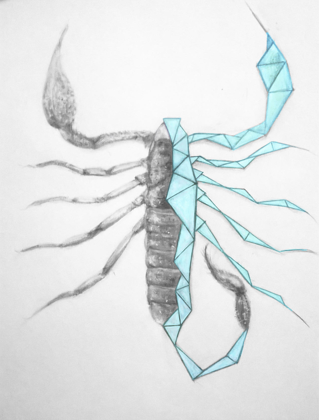 Scorpion drawing by bretttown on DeviantArt