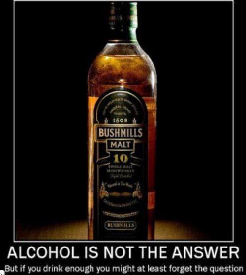 dirty-lil-irish-girl:  HAPPY INTERNATIONAL WHISKEY DAY!!   From Northern Ireland the home (my home) of the world’s oldest whiskey distillery 😘😘  A perfect line up….