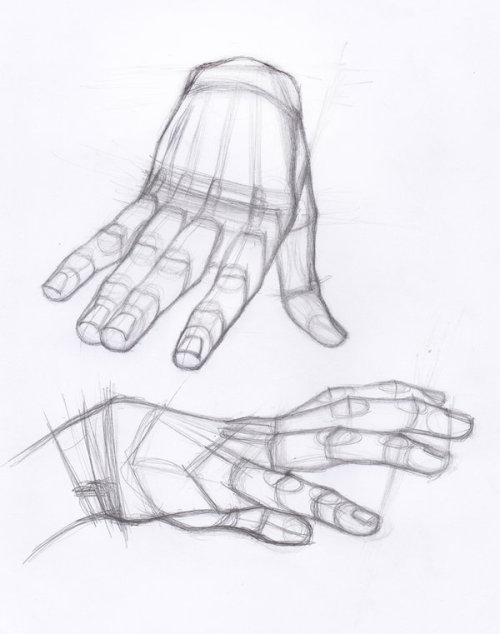 Porn Pics anatoref:  Hand Studies 