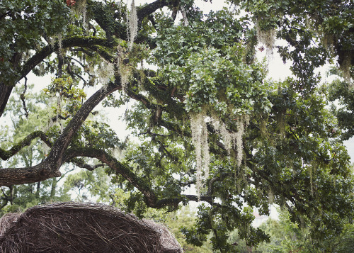 Hermann Park&hellip; Hermann Park is an expansive 445 acre park located near Houston&rsquo;s