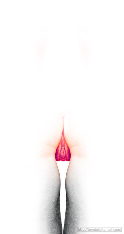 forhereyesonly:  Check our photographies at http://bembele.tumblr.com