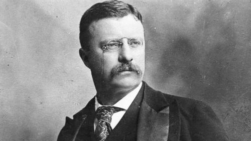 Fun History Fact; Theodore Roosevelt was bully for the mixed martial arts.By the time Theodore Roose