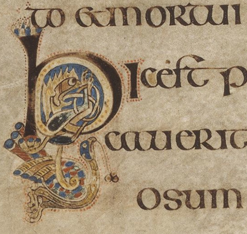 artofthedarkages:Gospels, MS 58, Trinity College Dublin