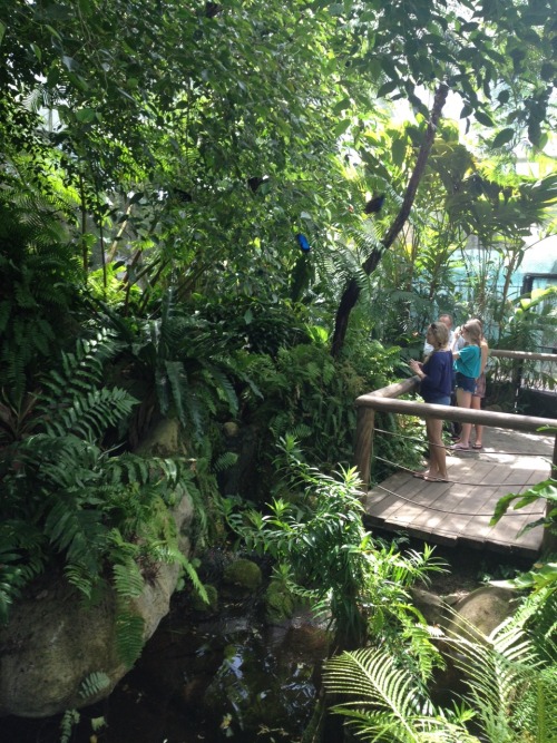 moretrxpicality:  Butterfly sanctuary ♡ my photo.