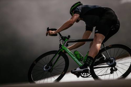theathletic:  ½ - hot damn - our pals at @ridecannondale sent through a couple shots of our hosiery 