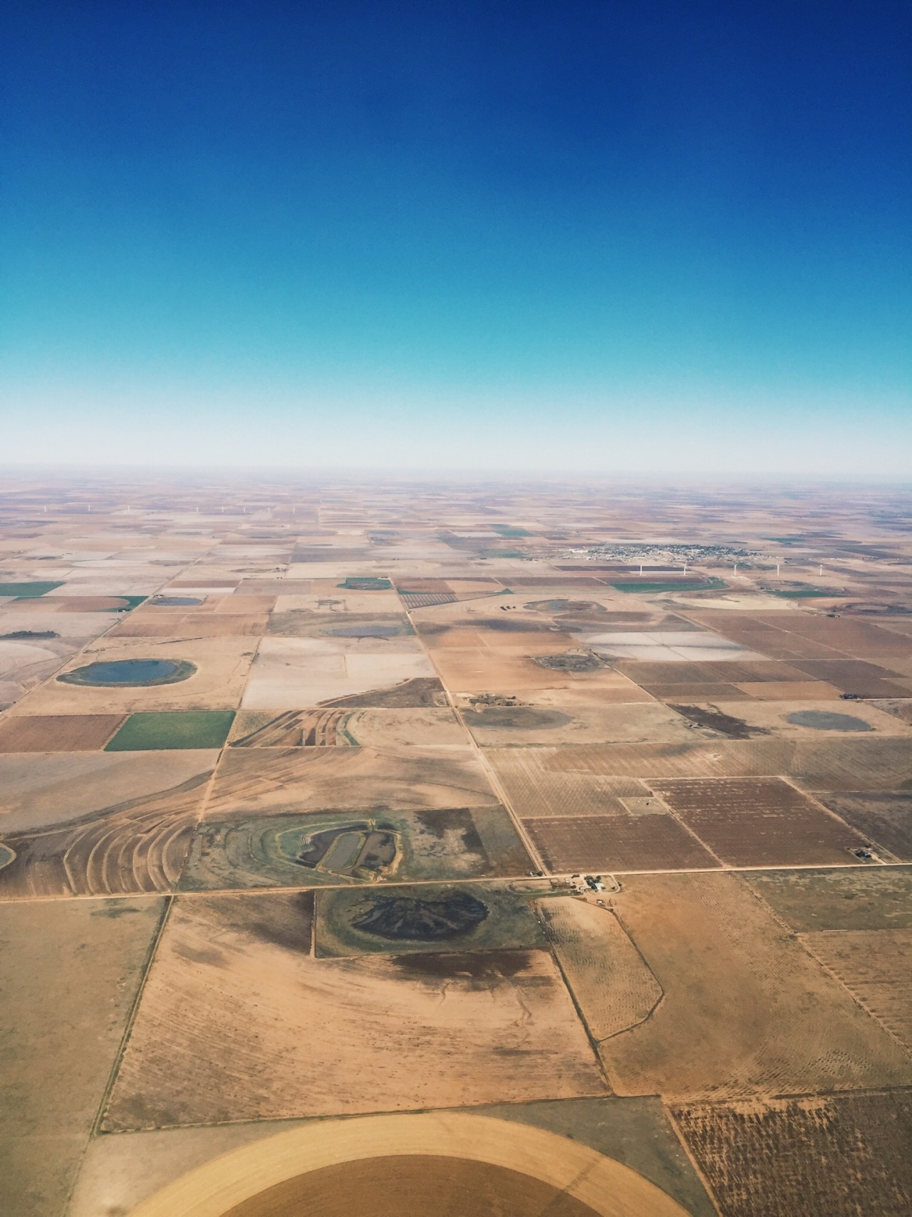danielodowd:  http://vsco.co/niagonzalez