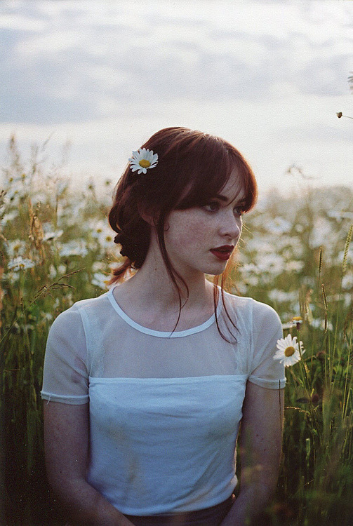 canona:  Daisy &amp; Evening sun (by millie clinton.)