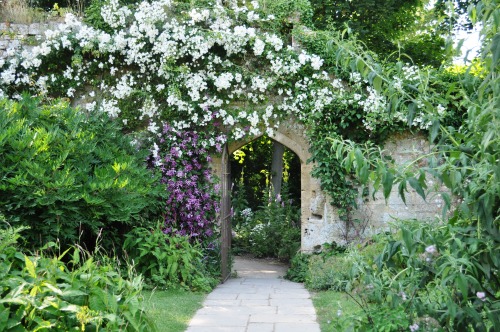 pagewoman:  Sudeley Castle Gardens, Winchcombe, Gloucestershire, England  by Jennie Rainsf