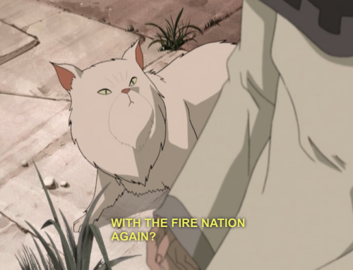 legion-of-scouts-and-monsters:  aragingunicorn:  me in 50 years   I want to know what Miyuki did to piss off the fire nation the first time  Cat Avatar confirmed