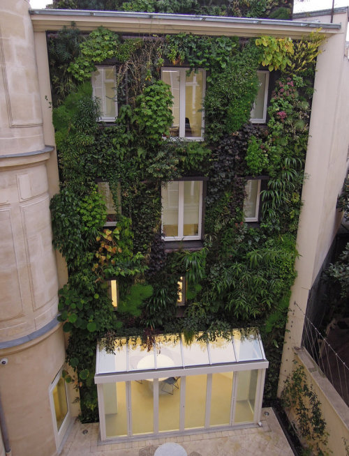 archatlas: Vertical Gardens Patrick Blanc Nobody is more familiar than Blanc with the secrets of the