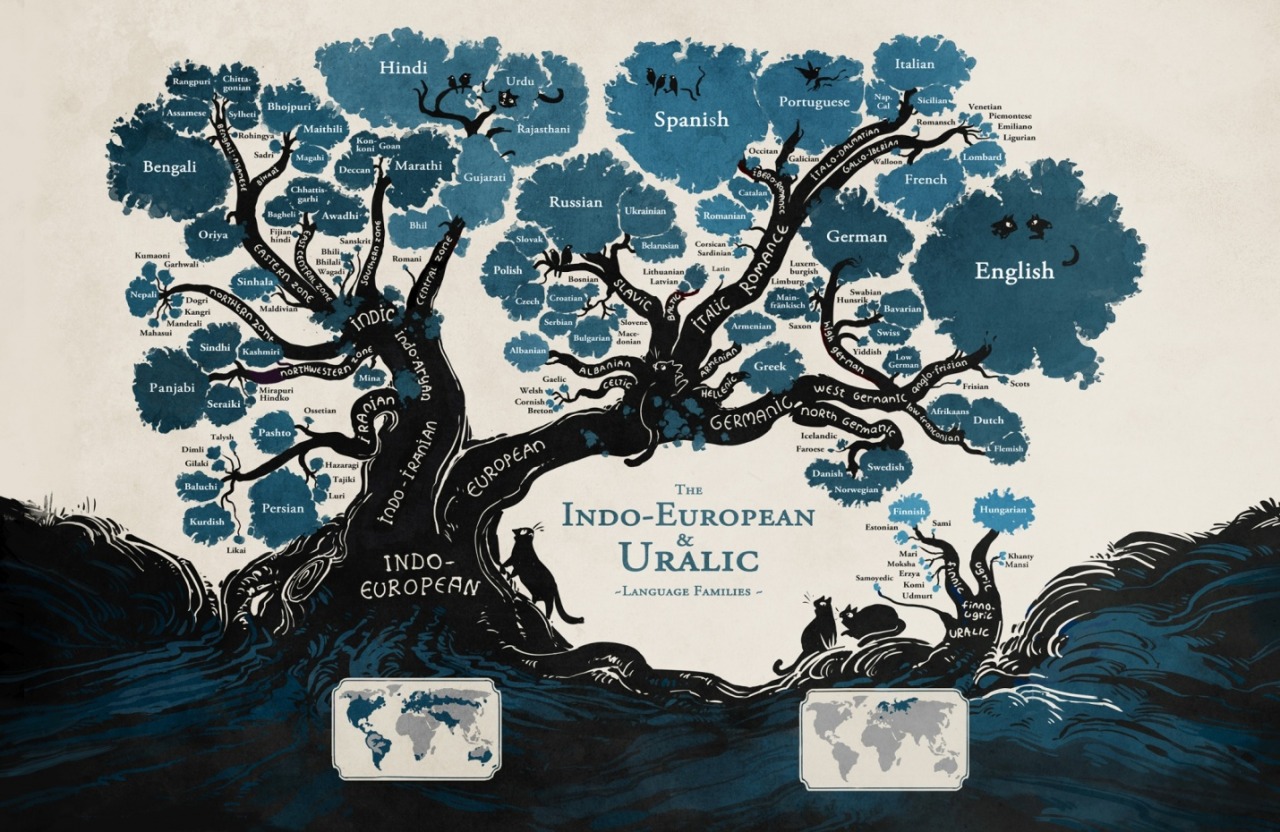 European linden tree