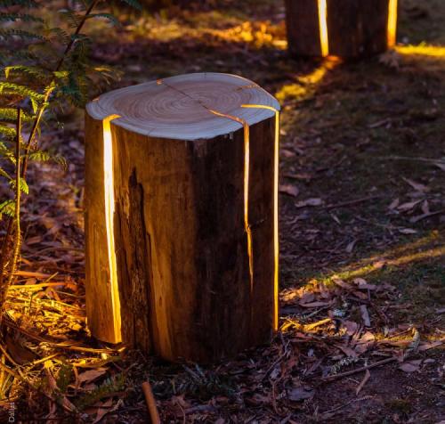 Porn photo odditymall:    The stump light is a cracked