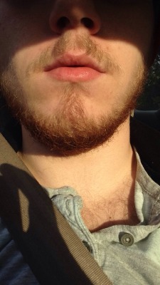 sir-nicks-a-lot:It’s hot out and I have a red beard