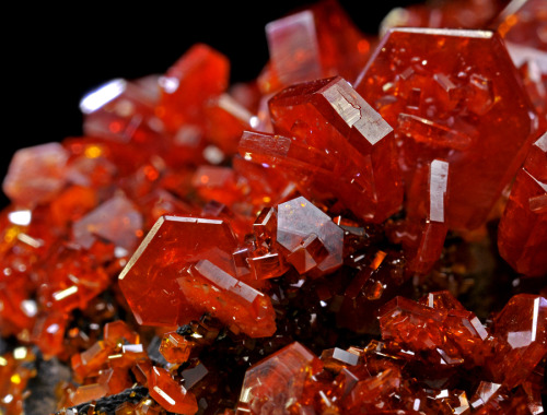 bijoux-et-mineraux:  Vanadinite - Morocco 