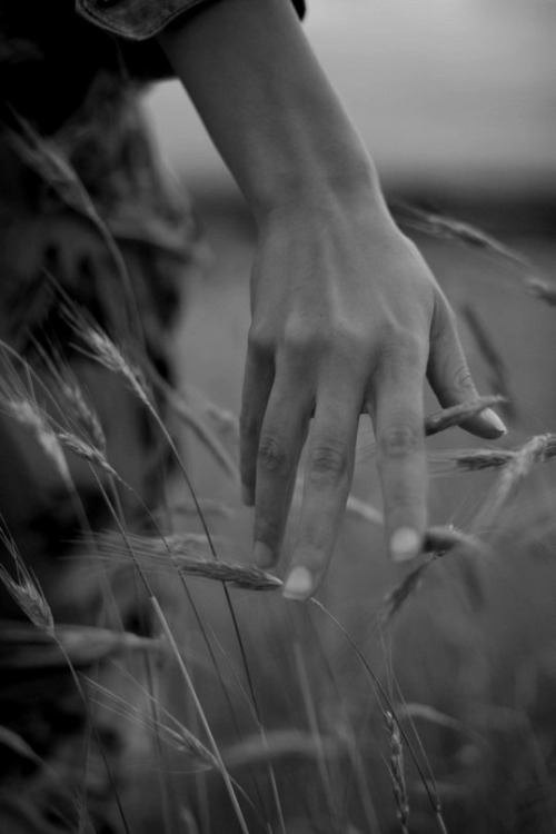 gazingamongstpassion:  (via TumbleOn)