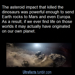 ultrafacts:  sweetpanda10:  thetimelordwizard: