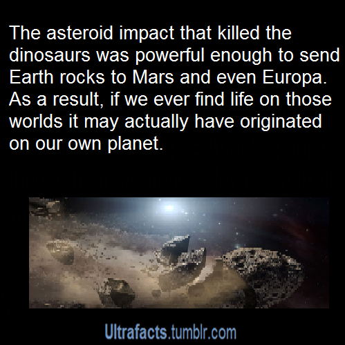 XXX ultrafacts:  sweetpanda10:  thetimelordwizard: photo